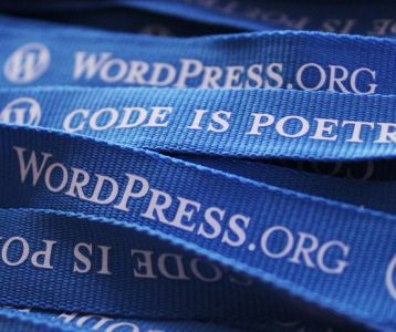 WordPress: Themes & Plugins